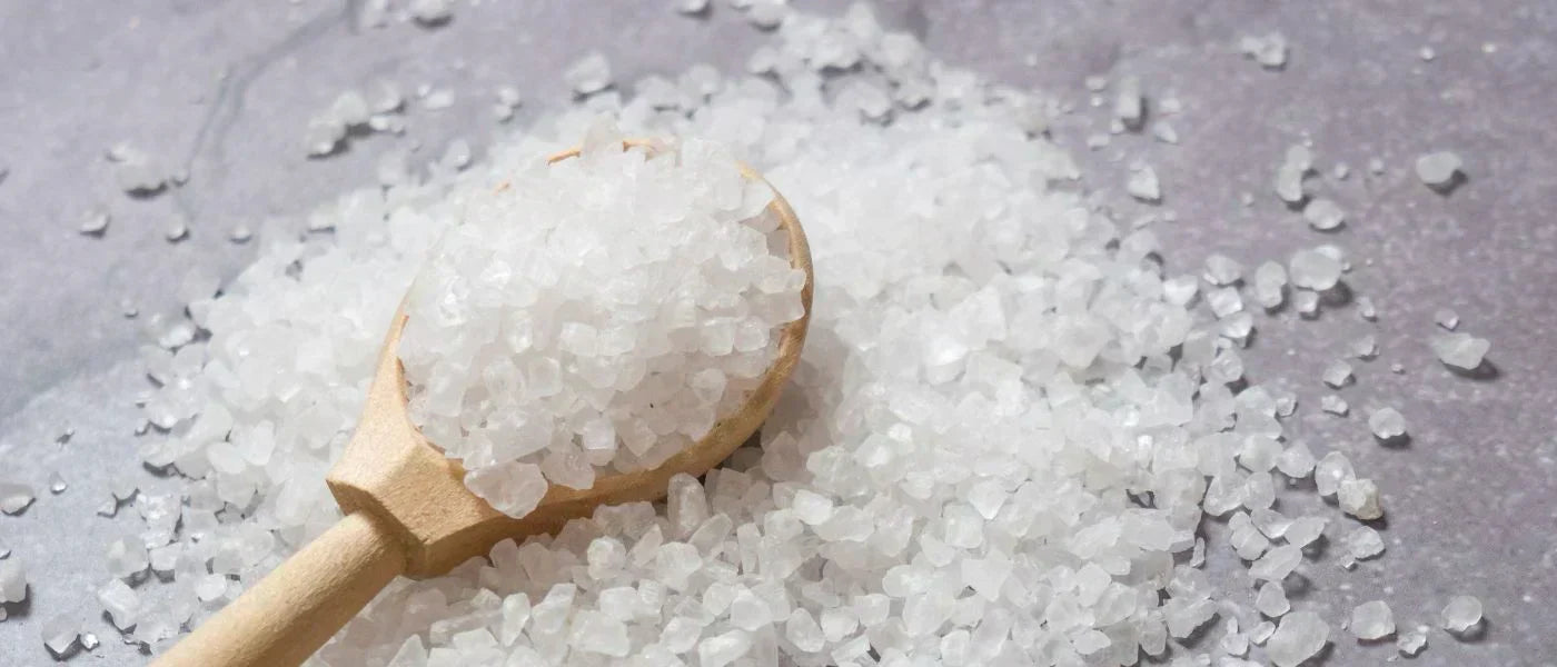 Ihr Haaröl Guide – Glänzendes & gesundes und kräftiges Haar 🌿